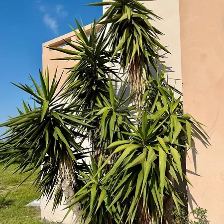 Perla Kallithea Apartman Koszkinú