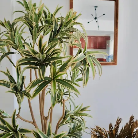 Apartman Perla Kallithea Koszkinú